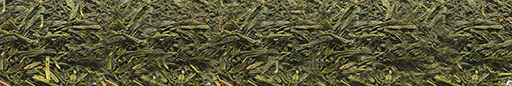 grüner Tee