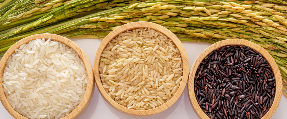 rice in ayurvedic nutrition