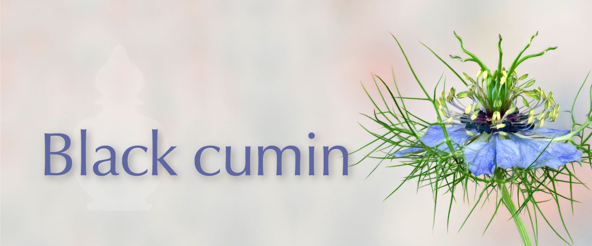 Black Cumin